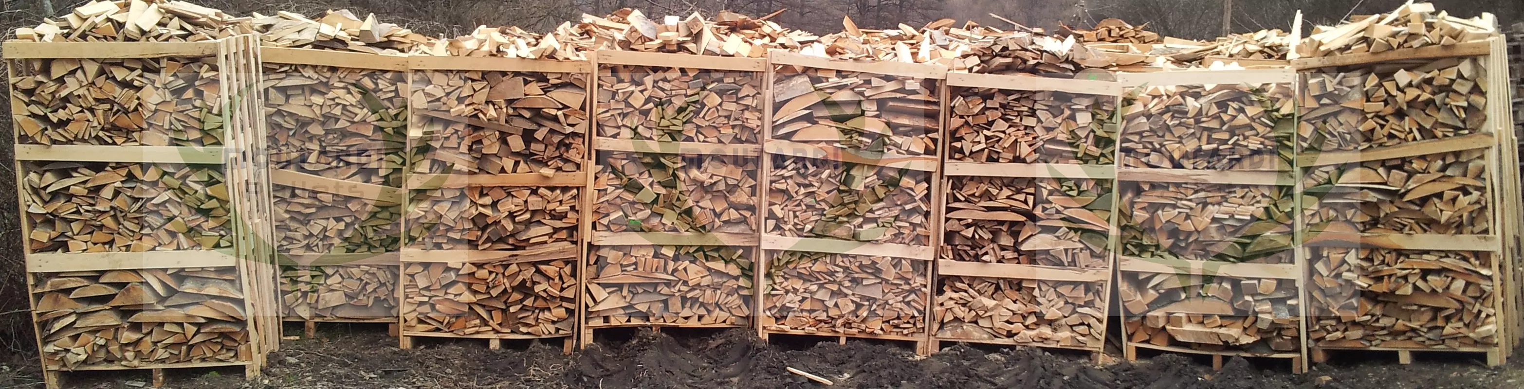 Beech wood scraps 4